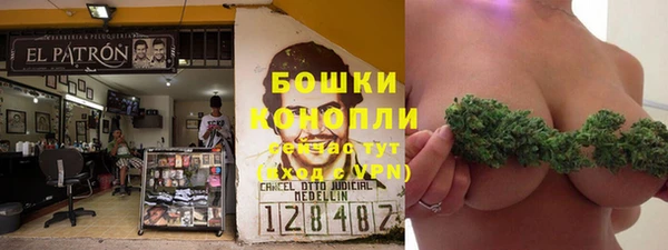 mdpv Белокуриха