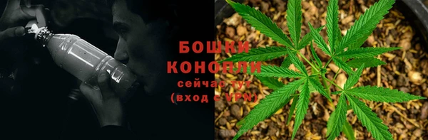 mdpv Белокуриха