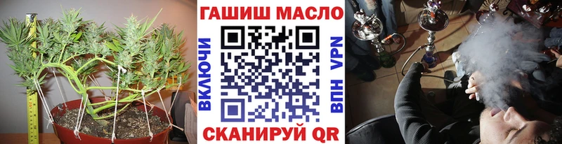 Купить закладки  Сарапул  ТГК гашишное масло 
